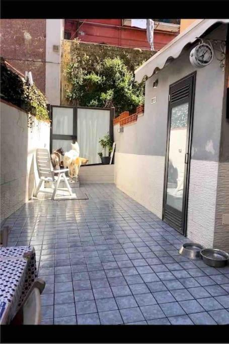 Napoli Centro Casa Con Due Camere E Cucina 外观 照片